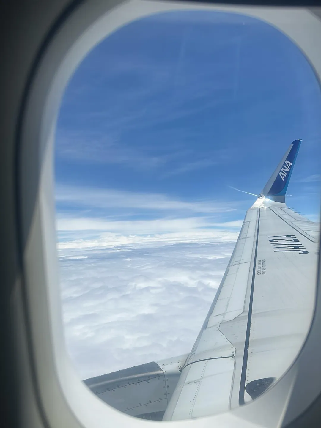 飛行機はいつも当日に取ります（笑）